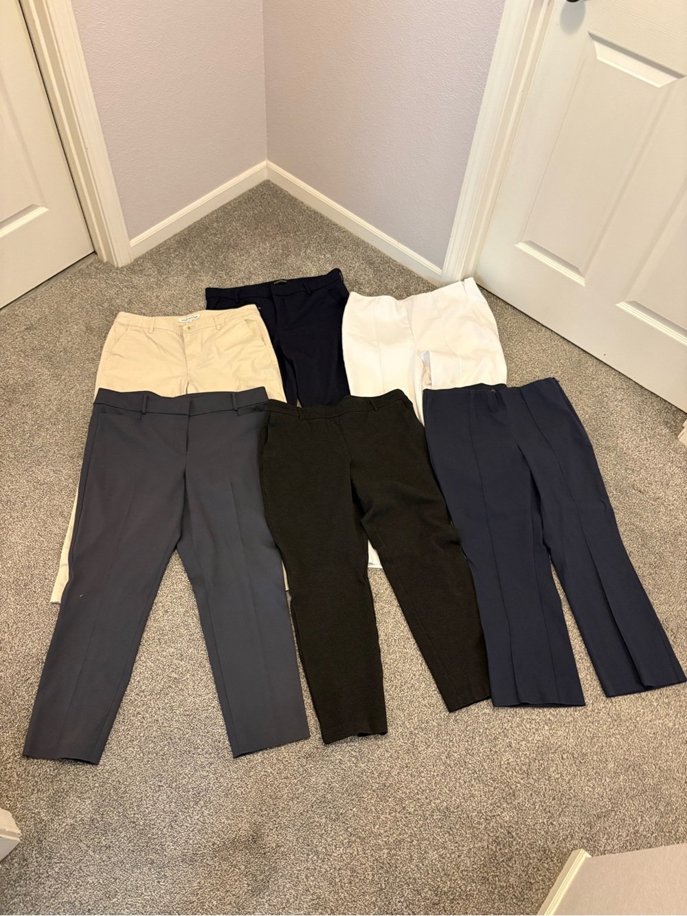 LOFT Women's Mixed Color Dress Trousers - Navy, Black, White, Khaki